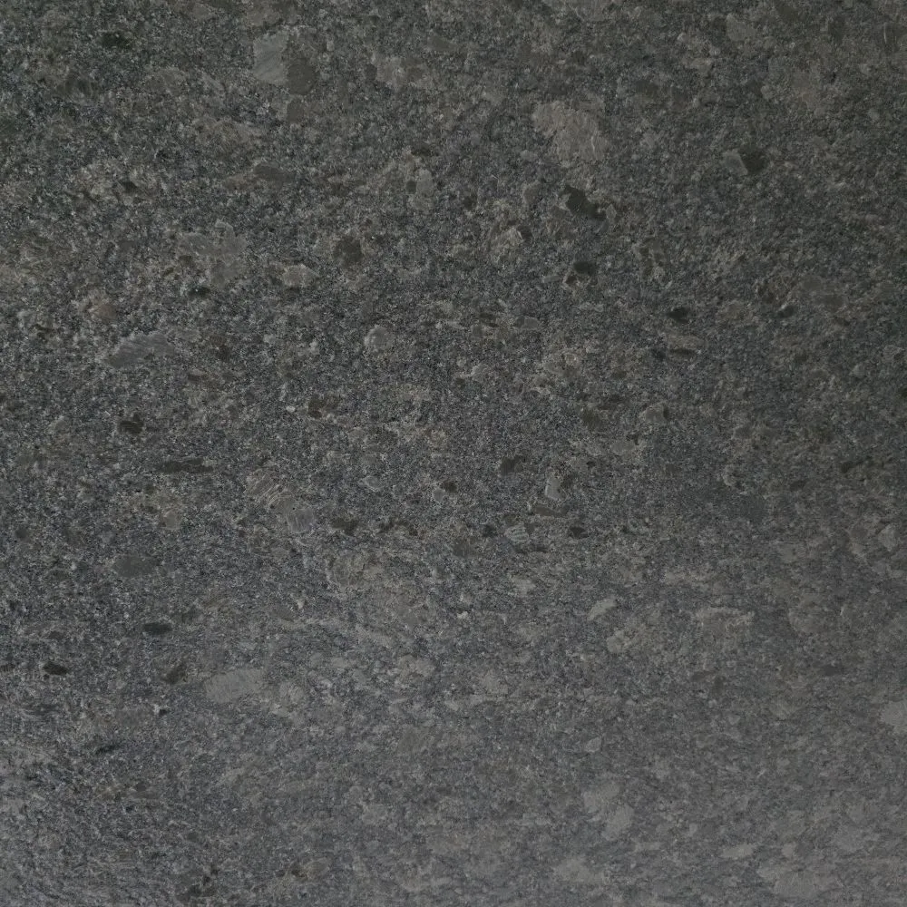Steel grey lapotra