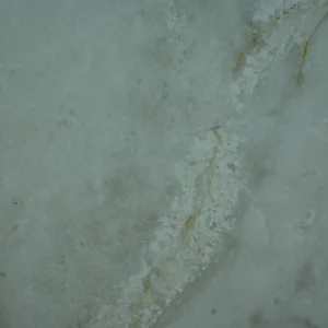 Ergos Bianco Plume Tile featuring a light grey-green surface with elegant white and subtle golden veining