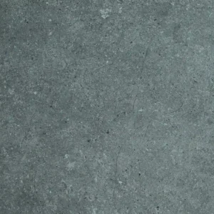 Forzenta Dark Grey vitrified tiles for floor and wall in Kokapet, Hyderabad