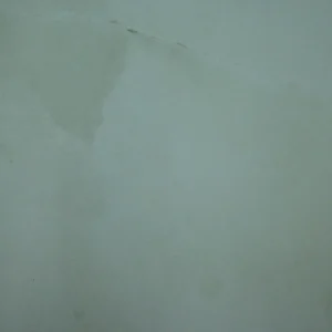 Onice Dove Max Tile featuring a soft light grey-green surface with subtle natural stone patterns